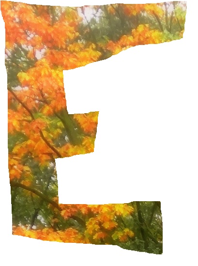 E1