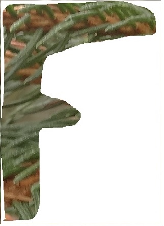 F1
