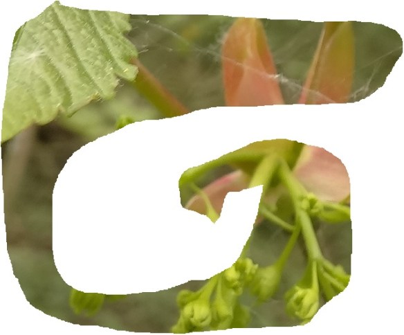 G_