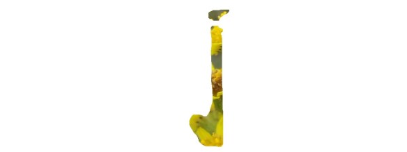 J1