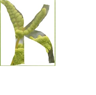 k1
