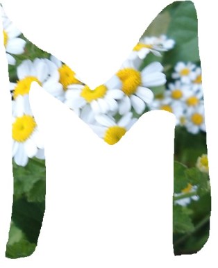 M1
