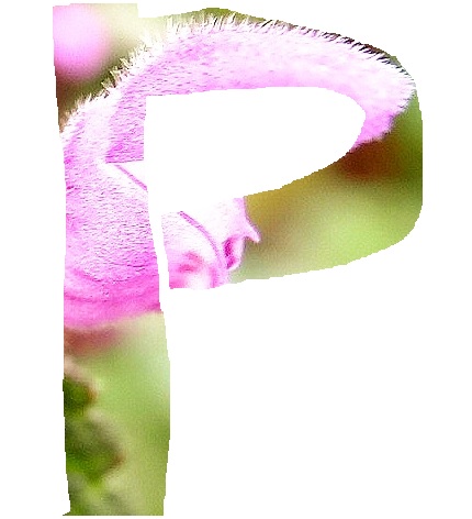 P1