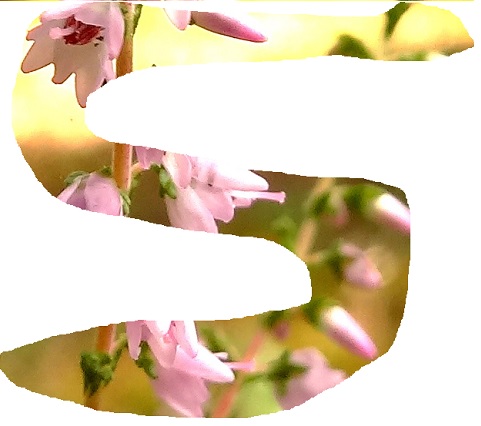 S1
