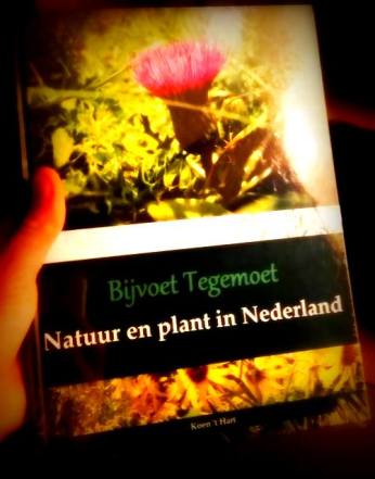 bijvoet